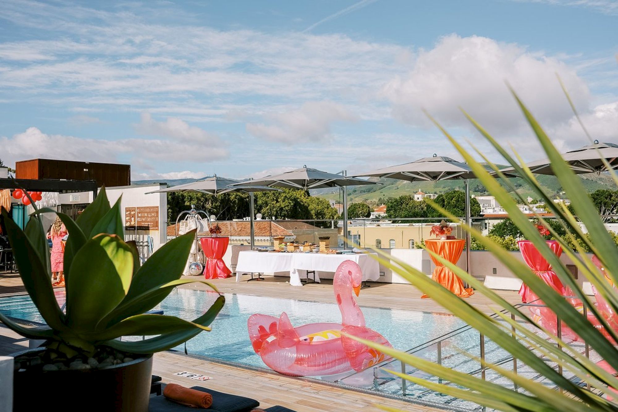 A rooftop pool with inflatable flamingos is surrounded by plants and lounge chairs, set against a backdrop of mountains and a blue sky.