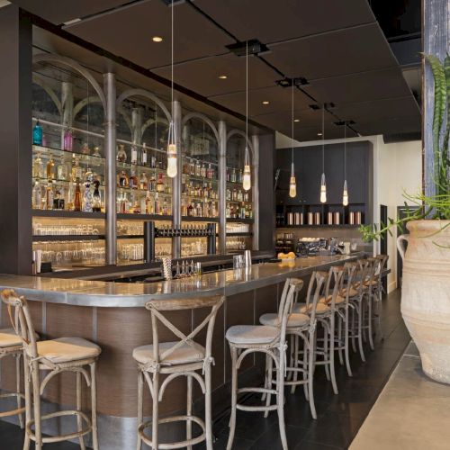 The image shows a modern bar with high chairs, a sleek counter, backlit shelves of bottles, and large decorative plants in pots.