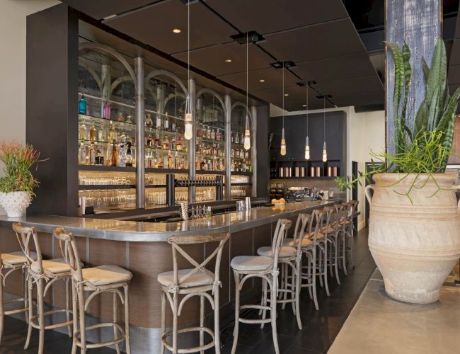 The image shows a modern bar with high chairs, a sleek counter, backlit shelves of bottles, and large decorative plants in pots.