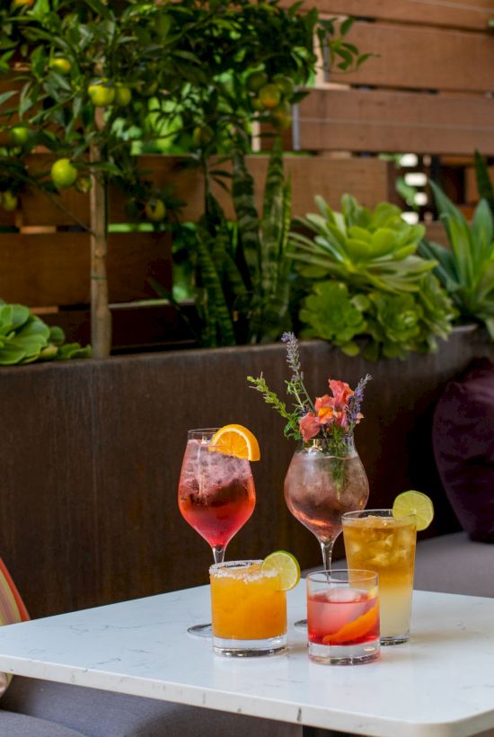 A table with colorful drinks garnished with fruit and flowers, surrounded by lush greenery and a wooden fence backdrop.