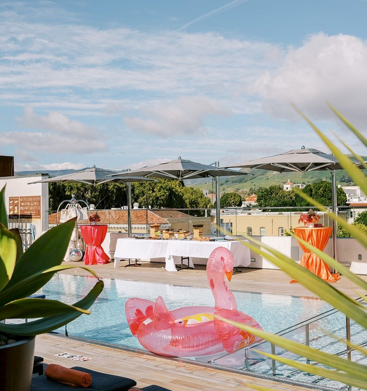 A rooftop pool with inflatable flamingos, surrounded by plants and colorful decorations, under a blue sky with scattered clouds.